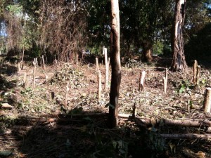 FINCA
