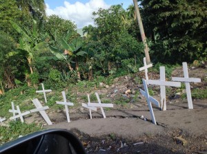 FOTOS 1