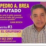Precandidato a Diputado Pedro Arnaldo Brea Denuncia Destrucción de su Publicidad.