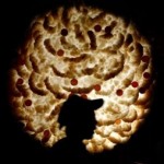 ¿Quieres entrenar el cerebro?