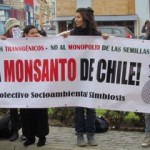 Ley Monsanto: La condena de la agricultura chilena