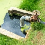 ¿Obtener combustible limpio y purificar agua en un mismo proceso?
