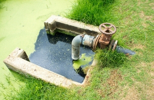 ¿Obtener combustible limpio y purificar agua en un mismo proceso?