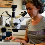 Una investigación colombiana desvela el papel de las lombrices en nuestros ecosistemas