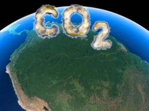 Bosques tropicales ‘arma letal’ contra el CO2