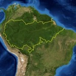 Ecuador, Colombia y Perú ‘alianza’ para proteger la Amazonía