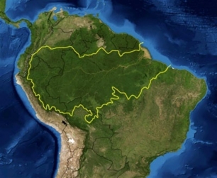 Ecuador, Colombia y Perú ‘alianza’ para proteger la Amazonía