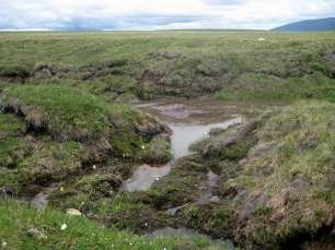 La descongelación del suelo ártico ‘acelera’ el cambio climático