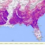 NASA y Google la ‘gran alianza’ para controlar la deforestación mundial