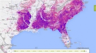 NASA y Google la ‘gran alianza’ para controlar la deforestación mundial