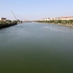 La agenda de Unesco prevé debatir el estado de Doñana y Aznalcóllar