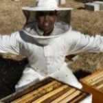 Abeja: ‘Tú eres mi reina’