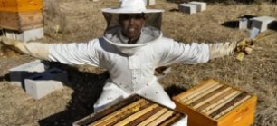 Abeja: ‘Tú eres mi reina’