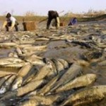 Más de 20.000 personas fueron acusadas de delitos medioambientales en China