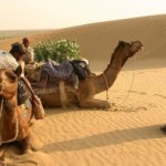 India, el 25% ya es desierto