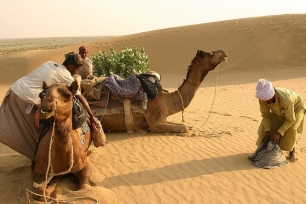 India, el 25% ya es desierto