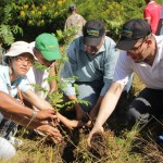 Reforestan cuenca y del río Maguaca en lucha salvar Noroeste