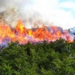 FALCONDO Incendió Loma Miranda en complicidad con Medio Ambiente, dice Padre Rogelio.