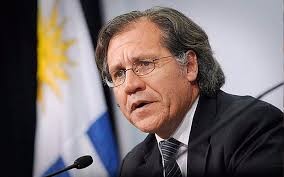 Lideres denuncian Asamblea de la OEA, «ser heterosexual se ha convertido en un delito».