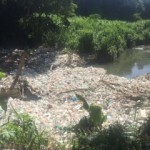 Realizan jornada de limpieza en el Barrio Cinco de Abril en San Cristóbal
