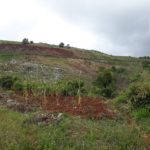 LA SOECI CONDENA LA VIOLACIONES EN LA SIERRA DE BAHORUCO