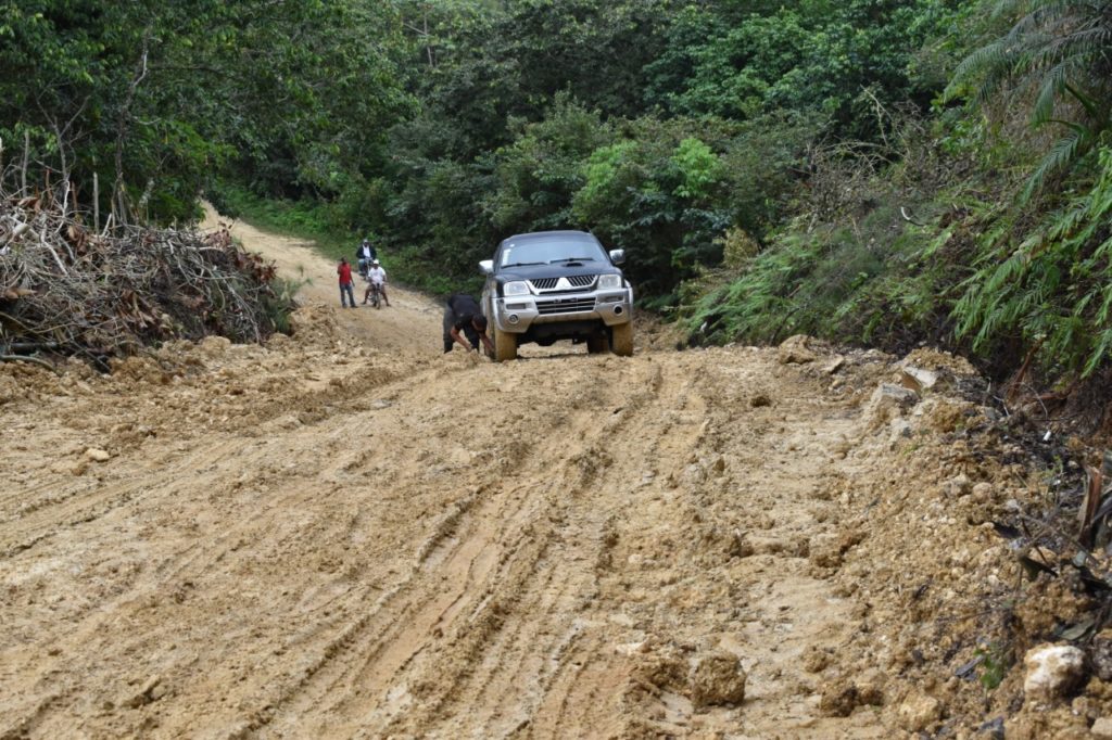 Moradores de Arroyo del Toro denuncian compañía por destruir su carretera con patanas cargadas de pinos.