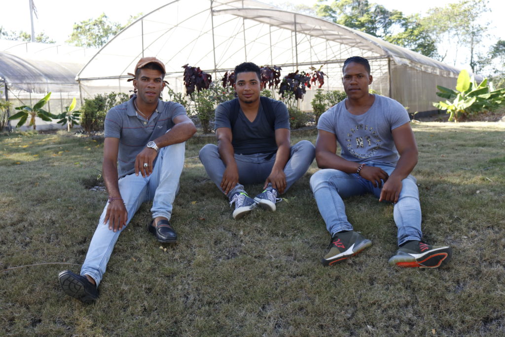 ESTUDIANTES DE INGENIERÍA AGRONÓMICA DE UCATECI REALIZAN PRÁCTICAS DE CULTIVO EN INVERNADERO UNIVERSITARIO