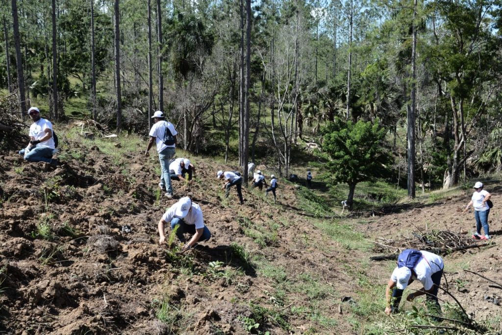 Siembran más de cinco mil plantas en SAJOMA