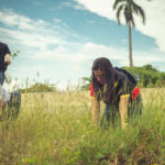 Instituciones de Santiago realizan jornada de reforestación