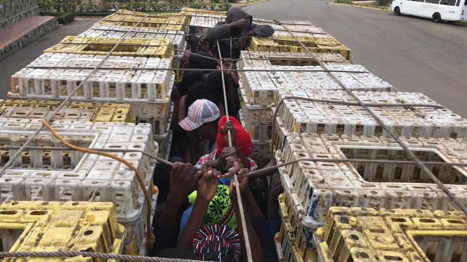 Apresan 20 hatianos que viajaban en un camión encubierto en cajas de pollos.
