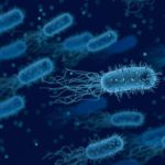 Advierten que deshielo del permafrost podría liberar peligrosos virus antiguos