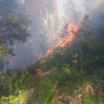 COANOR Advierte Emergencia Ecológica Línea Noroeste. Incendios Forestales y Corte de Árboles Destruyen Bosques en Restauración, Dajabón y Santiago Rodríguez.