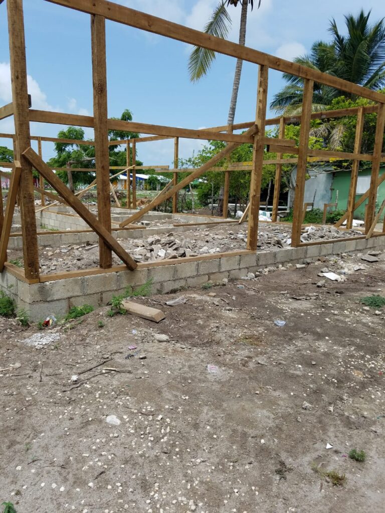 Ambientalista denuncia invación ilegal de la Isla Saona y Las Dunas en momento de transición y pandemia