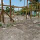 Ambientalista denuncia invación ilegal de la Isla Saona y Las Dunas en momento de transición y pandemia