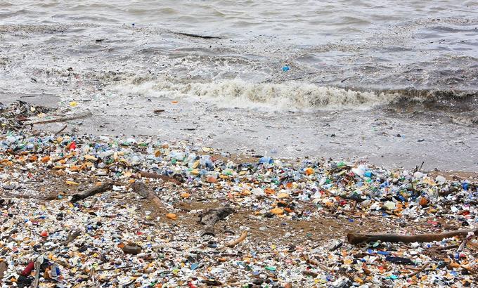 Prioridades ambientales: ¿qué le piden los ecologistas al próximo gobierno?
