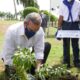 Presidente Luis Abinader encabeza acto primer día del Mes de la Reforestación, Llama a trabajar por un país verde