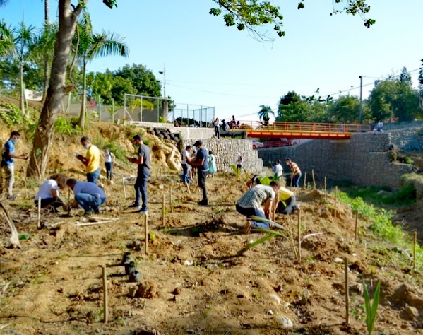 Sociedad Ecológica de Puñal inicia reforestación en confluencia de los Afluentes Auyama – El Jobo