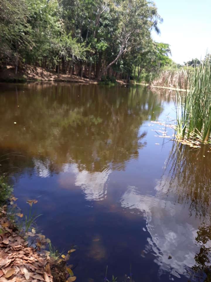 Ministerio de Medio Ambiente Abandona Parque Los Humedales de Laguna Prieta en Santiago.