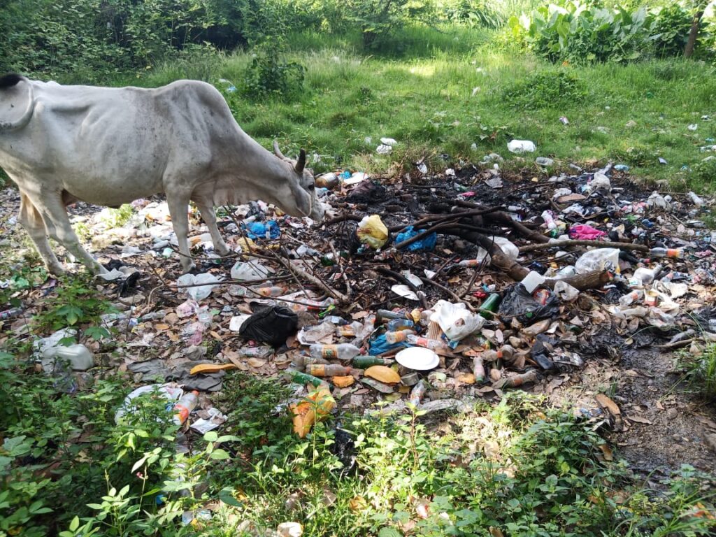 FUNDETROP saluda reacción tras denuncia sobre el abandono del Parque “Los Humedales de Laguna Prieta”.