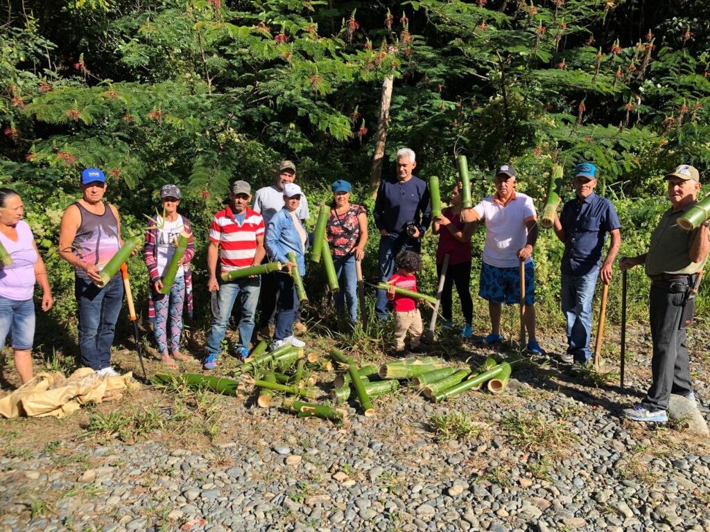 Comunitarios reforestan cuenca del río Bao
