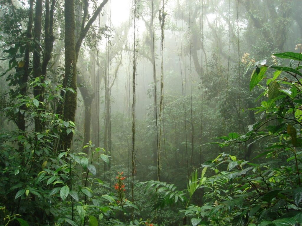 Estado del Financiamiento de la Naturaleza