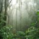 Estado del Financiamiento de la Naturaleza