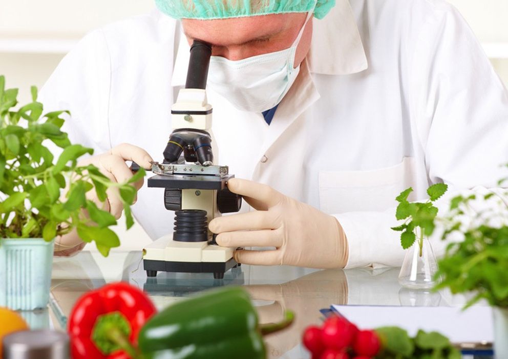 <strong>Química, Nutrientes y Cocina</strong>