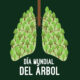 Los Árboles y su importancia para la humanidad