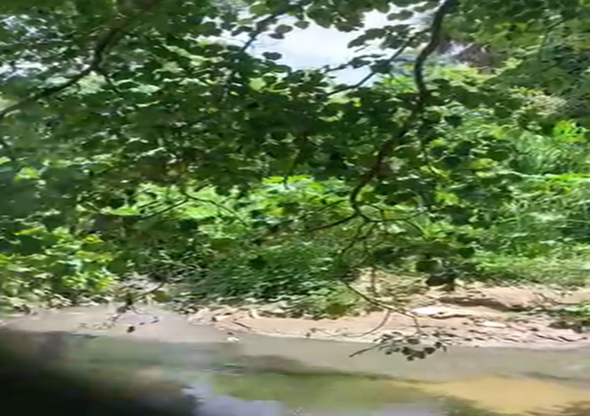Denuncian a CORAASAN por contaminar río Licey a su paso por Tamboril.