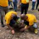 Realizan reforestación con privados de libertad en la cuenca del Río Nizao