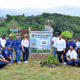 Fundación Loyola 79 continua reforestando la isla con el Método Miyawaki OK