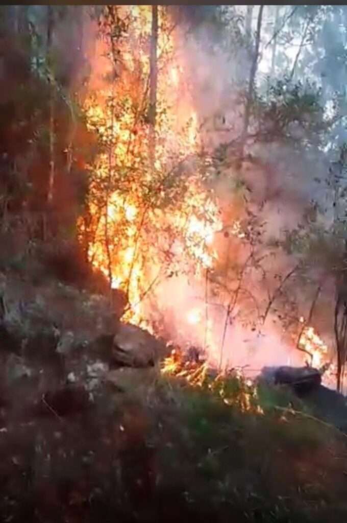 Incendio de gran magnitud amenaza la Cordillera Central en zona del Pico Duarte