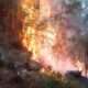 Incendio de gran magnitud amenaza la Cordillera Central en zona del Pico Duarte