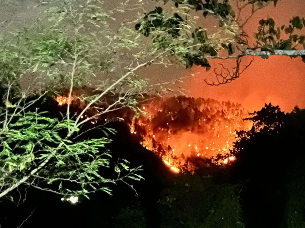 Fuego por más de 6 días consume montañas de La Sierra, en el Municipio de Jánico, sin que Medio Ambiente haga esfuerzo por extinguirlo